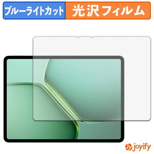 �y �u���[���C�g�J�b�g �z�t�B���� vivo iQOO Pad5e ������ �ی�t�B���� ���� �N�� ��ʕی� �u���[���C�g�J�b�g�t�B���� �w��h�~ �t���ی�t�B����