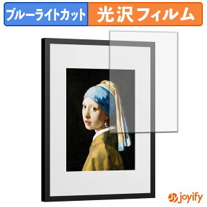 �y �u���[���C�g�J�b�g �z�t�B���� SwitchBot AI�A�[�g�L�����o�X 13.3�C���` �ی�t�B���� ���� �N�� ��ʕی� �u���[���C�g�J�b�g�t�B���� �w��h�~ �t���ی�t�B����