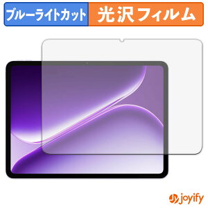 �y�|�C���g2�{�z �y �u���[���C�g�J�b�g �z�t�B���� OnePlus Pad Go 2 �O���[�o���� �ی�t�B���� ���� �N�� ��ʕی� �u���[���C�g�J�b�g�t�B���� �w��h�~ �t���ی�t�B����