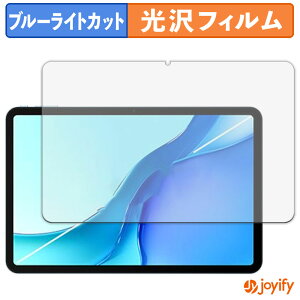 �y �u���[���C�g�J�b�g �z�t�B���� DOOGEE POCKAM P13 PRO �ی�t�B���� ���� �N�� ��ʕی� �u���[���C�g�J�b�g�t�B���� �w��h�~ �t���ی�t�B����