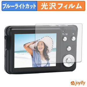 �y �u���[���C�g�J�b�g �z�t�B���� AGFAPHOTO Realishot DC8300 �ی�t�B���� ���� �N�� ��ʕی� �u���[���C�g�J�b�g�t�B���� �w��h�~ �t���ی�t�B����