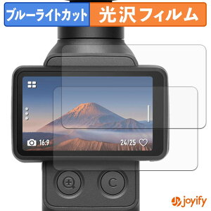 �y �u���[���C�g�J�b�g �z�t�B���� DJI Osmo Pocket 4P ( �^�b�`��� ) (2���Z�b�g) �ی�t�B���� ���� �N�� ��ʕی� �u���[���C�g�J�b�g�t�B���� �w��h�~ �t���ی�t�B����