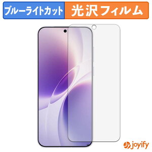 �y�|�C���g2�{�z �y �u���[���C�g�J�b�g �z�t�B���� vivo X300s ������ �ی�t�B���� ���� �N�� ��ʕی� �u���[���C�g�J�b�g�t�B���� �w��h�~ �t���ی�t�B����