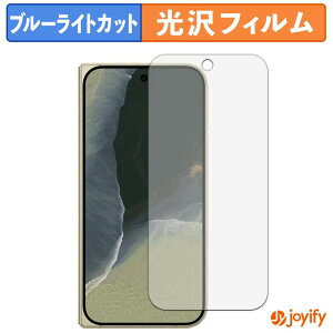 �y �u���[���C�g�J�b�g �z�t�B���� Google Pixel 11 Pro Fold ( �T�u�f�B�X�v���C ) �ی�t�B���� ���� �N�� ��ʕی� �u���[���C�g�J�b�g�t�B���� �w��h�~ �t���ی�t�B����