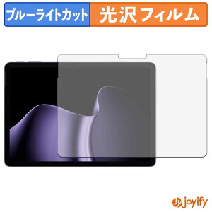 �y���������}���\���|�C���g2�{�z �y �u���[���C�g�J�b�g �z�t�B���� Microsoft Surface Pro 12 �C���` ( ��2���� ) �ی�t�B���� ���� �N�� ��ʕی� �u���[���C�g�J�b�g�t�B���� �w��h�~ �t���ی�