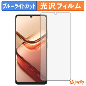 【 ブルーライトカット 】フィルム DOOGEE Note 58 / 58 Pro 保護フィルム 光沢 鮮明 画面保護 ブルーライトカットフィルム 指紋防止 液晶保護フィルム