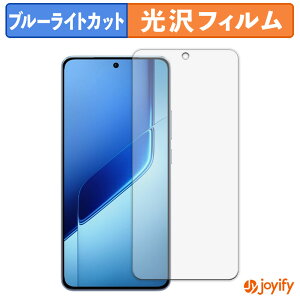 �y �u���[���C�g�J�b�g �z�t�B���� vivo iQOO Neo10 Pro+ �ی�t�B���� ���� �N�� ��ʕی� �u���[���C�g�J�b�g�t�B���� �w��h�~ �t���ی�t�B����