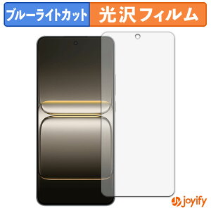 �y �u���[���C�g�J�b�g �z�t�B���� OnePlus Nord CE5 �ی�t�B���� ���� �N�� ��ʕی� �u���[���C�g�J�b�g�t�B���� �w��h�~ �t���ی�t�B����