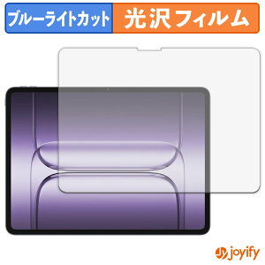 �y�|�C���g2�{�z �y �u���[���C�g�J�b�g �z�t�B���� OnePlus Pad 2 Pro �ی�t�B���� ���� �N�� ��ʕی� �u���[���C�g�J�b�g�t�B���� �w��h�~ �t���ی�t�B����