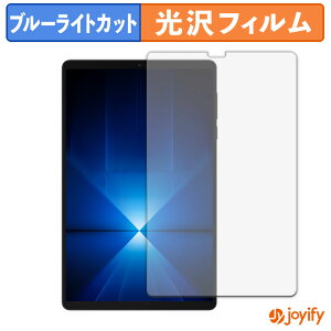 �y�|�C���g2�{�z �y �u���[���C�g�J�b�g �z�t�B���� Lenovo Legion Y700 Gen 4 ( TB322FC ) �ی�t�B���� ���� �N�� ��ʕی� �u���[���C�g�J�b�g�t�B���� �w��h�~ �t���ی�t�B����