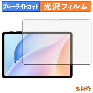 �y�|�C���g2�{�z �y �u���[���C�g�J�b�g �z�t�B���� DOOGEE Tab A9 Pro �ی�t�B���� ���� �N�� ��ʕی� �u���[���C�g�J�b�g�t�B���� �w��h�~ �t���ی�t�B����