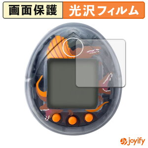 syVX[p[SALE |Cg2{t y  ztB WVbNE[h ̑n ܂ Spinosaurus ver. 4Zbg یtB  ی  wh~ ʕی R t