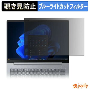 �y �`�����h�~ 180�x �z�t�B���� Lenovo ThinkBook14 Gen 9 ( �}���`�^�b�`�Ή����f�� ) �v���C�o�V�[�t�B���^�[ �ی�t�B���� �u���[���C�g�J�b�g �`���ݖh�~�t�B���� �̂������h�~ �A���`�O���A �p