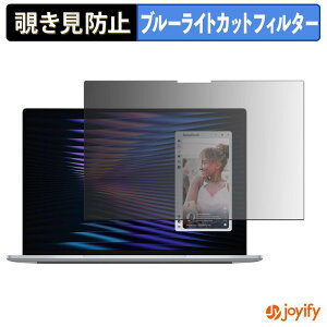 �y �`�����h�~ 180�x �z�t�B���� Dell XPS 13 ( DX13260 ) �v���C�o�V�[�t�B���^�[ �ی�t�B���� �u���[���C�g�J�b�g �`���ݖh�~�t�B���� �̂������h�~ �A���`�O���A �p�\�R�� PC