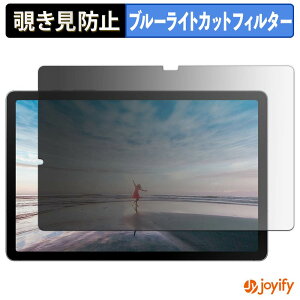 �y �`�����h�~ 180�x �z�t�B���� Samsung Galaxy Tab S10 Lite ( Wi-Fi ) �v���C�o�V�[�t�B���^�[ �ی�t�B���� �u���[���C�g�J�b�g �`���ݖh�~�t�B���� �̂������h�~ �A���`�O���A ��ʕی�