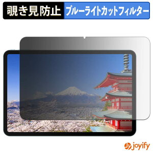 �y �`�����h�~ 180�x �z�t�B���� POPUX P13 �v���C�o�V�[�t�B���^�[ �ی�t�B���� �u���[���C�g�J�b�g �`���ݖh�~�t�B���� �̂������h�~ �A���`�O���A ��ʕی�