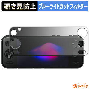 �y�|�C���g2�{�z �y �`�����h�~ 180�x �z�t�B���� AYANEO Pocket S2 / AYANEO Pocket S2 Pro �v���C�o�V�[�t�B���^�[ �ی�t�B���� �u���[���C�g�J�b�g �`���ݖh�~�t�B���� �̂������h�~ �A���`�O���A ��