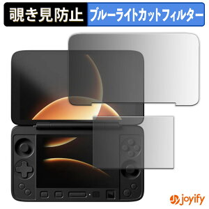 �y�|�C���g2�{�z �y �`�����h�~ 180�x �z�t�B���� AYANEO Flip 1S DS ( ���C����� / �T�u��� ) �v���C�o�V�[�t�B���^�[ �ی�t�B���� �u���[���C�g�J�b�g �`���ݖh�~�t�B���� �̂������h�~ �A���`