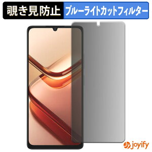 《ポイント2倍》 【 覗き見防止 180度 】フィルム DOOGEE Note 58 / 58 Pro プライバシーフィルター 保護フィルム ブルーライトカット 覗きみ防止フィルム のぞき見防止 アンチグレア 画面保護