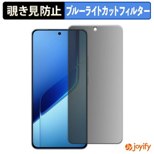 �y �`�����h�~ 180�x �z�t�B���� vivo iQOO Neo10 Pro+ �v���C�o�V�[�t�B���^�[ �ی�t�B���� �u���[���C�g�J�b�g �`���ݖh�~�t�B���� �̂������h�~ �A���`�O���A ��ʕی�