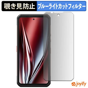 �y �`�����h�~ 180�x �z�t�B���� Oukitel WP300 ( ���C���f�B�X�v���C ) �v���C�o�V�[�t�B���^�[ �ی�t�B���� �u���[���C�g�J�b�g �`���ݖh�~�t�B���� �̂������h�~ �A���`�O���A ��ʕی�