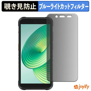 �y�|�C���g2�{�z �y �`�����h�~ 180�x �z�t�B���� Ulefone RugKing �v���C�o�V�[�t�B���^�[ �ی�t�B���� �u���[���C�g�J�b�g �`���ݖh�~�t�B���� �̂������h�~ �A���`�O���A ��ʕی�