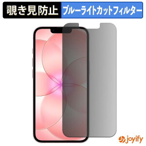 �y �`�����h�~ 180�x �z�t�B���� Apple iPhone 17e �v���C�o�V�[�t�B���^�[ �ی�t�B���� �u���[���C�g�J�b�g �`���ݖh�~�t�B���� �̂������h�~ �A���`�O���A ��ʕی�