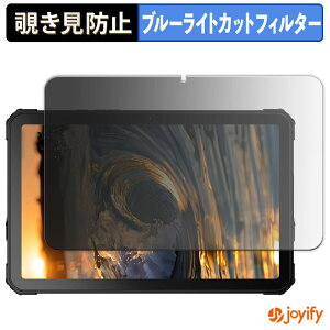 �y�|�C���g2�{�z �y �`�����h�~ 180�x �z�t�B���� FOSSiBOT DT3 5G �v���C�o�V�[�t�B���^�[ �ی�t�B���� �u���[���C�g�J�b�g �`���ݖh�~�t�B���� �̂������h�~ �A���`�O���A ��ʕی�