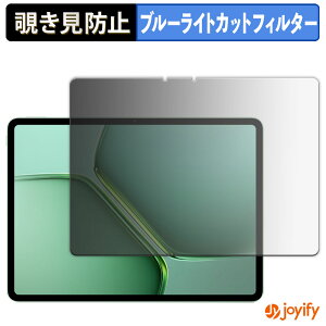 �y �`�����h�~ 180�x �z�t�B���� vivo iQOO Pad5e ������ �v���C�o�V�[�t�B���^�[ �ی�t�B���� �u���[���C�g�J�b�g �`���ݖh�~�t�B���� �̂������h�~ �A���`�O���A ��ʕی�