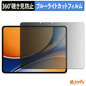 �y�|�C���g2�{�z �y �`�����h�~ 360�x �z�t�B���� realme Pad 3 �C���h�� �v���C�o�V�[�t�B���^�[ �ی�t�B���� �u���[���C�g�J�b�g �`���ݖh�~�t�B���� �̂������h�~ �A���`�O���A ��ʕی�
