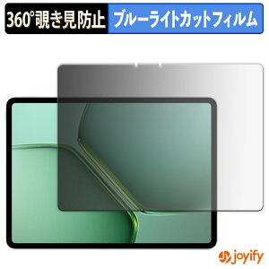 �y �`�����h�~ 360�x �z�t�B���� vivo iQOO Pad5e ������ �v���C�o�V�[�t�B���^�[ �ی�t�B���� �u���[���C�g�J�b�g �`���ݖh�~�t�B���� �̂������h�~ �A���`�O���A ��ʕی�