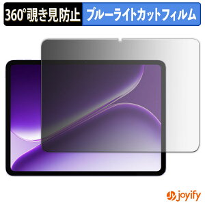 �y�|�C���g2�{�z �y �`�����h�~ 360�x �z�t�B���� OnePlus Pad Go 2 �O���[�o���� �v���C�o�V�[�t�B���^�[ �ی�t�B���� �u���[���C�g�J�b�g �`���ݖh�~�t�B���� �̂������h�~ �A���`�O���A ���