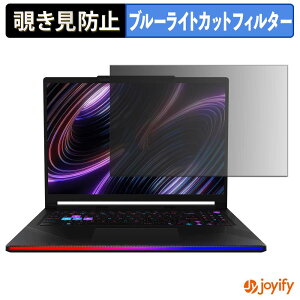 �y �`�����h�~ �^�u�V�[���� �z�t�B���� MSI Raider 16 Max HX B2W �ی�t�B���� ���E�� �u���[���C�g�J�b�g �`���ݖh�~�t�B���� �̂������h�~ ��ʕی� �p�\�R�� PC