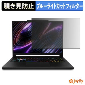 �y �`�����h�~ �^�u�V�[���� �z�t�B���� MSI Raider 16 HX B2W �ی�t�B���� ���E�� �u���[���C�g�J�b�g �`���ݖh�~�t�B���� �̂������h�~ ��ʕی� �p�\�R�� PC