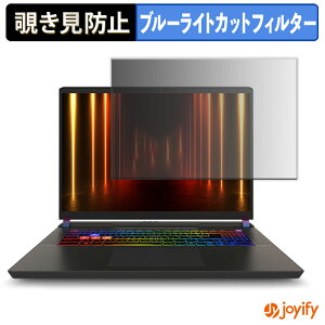 �y7/26 1:59�� �|�C���g2�{�z �y �`�����h�~ �^�u�V�[���� �z�t�B���� MSI Vector 17 HX AI A2XW �ی�t�B���� ���E�� �u���[���C�g�J�b�g �`���ݖh�~�t�B���� �̂������h�~ ��ʕی� �p�\�R�� PC
