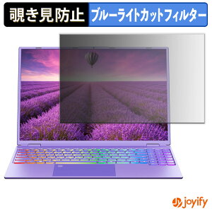 �y�|�C���g2�{�z �y �`�����h�~ �^�u�V�[���� �z�t�B���� Wzbookl Smartbook DQ160 �ی�t�B���� ���E�� �u���[���C�g�J�b�g �`���ݖh�~�t�B���� �̂������h�~ ��ʕی� �p�\�R�� PC