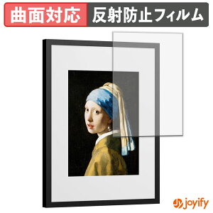 �y TPU �z�t�B���� SwitchBot AI�A�[�g�L�����o�X 13.3�C���` �ی�t�B���� �S�ʕی� �A���`�O���A ���˖h�~ �ی� �V�[�g �t���ی�t�B���� �L�Y�C��