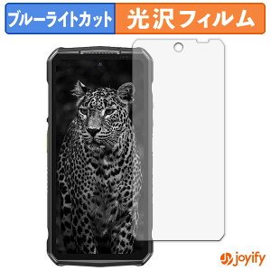 �y�|�C���g2�{�z �y TPU �u���[���C�g�J�b�g �z�t�B���� Ulefone Armor 29 Ultra / 29 Pro ( ���C���f�B�X�v���C ) �ی�t�B���� �S�ʕی� ���� ��ʕی� �t���ی� �L�Y�C��