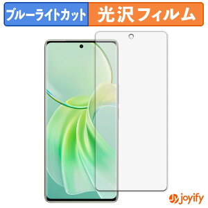 �y�|�C���g2�{�z �y TPU �u���[���C�g�J�b�g �z�t�B���� vivo Y100 ������ �ی�t�B���� �S�ʕی� ���� ��ʕی� �t���ی� �L�Y�C��