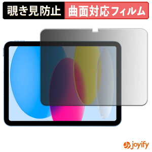 【 TPU 覗き見防止 】 フィルム Apple iPad ( 第10世代 ) 2022 10.9インチ プライバシーフィルター 保護フィルム 覗き見防止 全面保護 ブルーライトカット 覗きみ防止フィルム 光沢 画面保護
