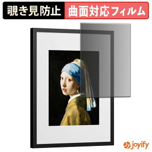 �y TPU �`�����h�~ �z �t�B���� SwitchBot AI�A�[�g�L�����o�X 13.3�C���` �v���C�o�V�[�t�B���^�[ �ی�t�B���� �`�����h�~ �S�ʕی� �u���[���C�g�J�b�g �`���ݖh�~�t�B���� ���� ��ʕی�