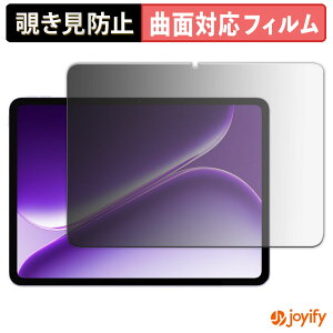 �y�|�C���g2�{�z �y TPU �`�����h�~ �z �t�B���� OnePlus Pad Go 2 �O���[�o���� �v���C�o�V�[�t�B���^�[ �ی�t�B���� �`�����h�~ �S�ʕی� �u���[���C�g�J�b�g �`���ݖh�~�t�B���� ���� ��ʕ�