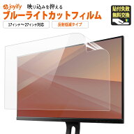 【楽天1位】 ブルーライトカット フィルム モニター 保護フィルム 21.5インチ 23.8インチ 反射低減 パソ…