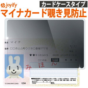 s12/11܂ 10%OffN[|t y猩Ȃz}Cio[J[h P[X ډB J[hP[X `h~ Rkh~ ZLeB B ډB zɓTCY }CiJ[h 