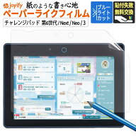 【楽天スーパーSALE 10%OFF】 ペーパーライク チャレンジパッド 第6世代 ブルーライトカット 保護フィル…