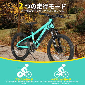 JOYSTAR 20/24C` }EeoCN AVXg@\t fBXNu[L TXyVtH[N qp lp [X w LbY j  ₷ o
