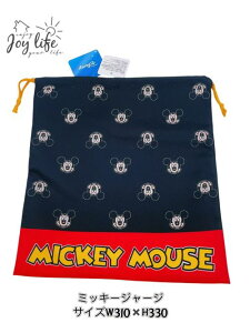 y[֑zDisney ~bL[~j[@W[WP[X@В@@w@̑@̑В@ւ@H@Gv