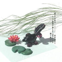 楽天市場】蓮金魚の通販