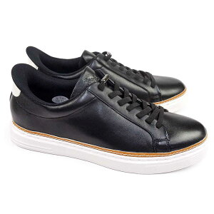 BEE CLASSIC }hX  r[NVbN Y Xb| U[Xj[J[ {v JWAV[Y CB6050 3E amC 25H~V