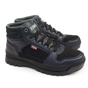 GhEB EDWIN h [Nu[c Y EDM-6595 AEghAu[c h 25H~V